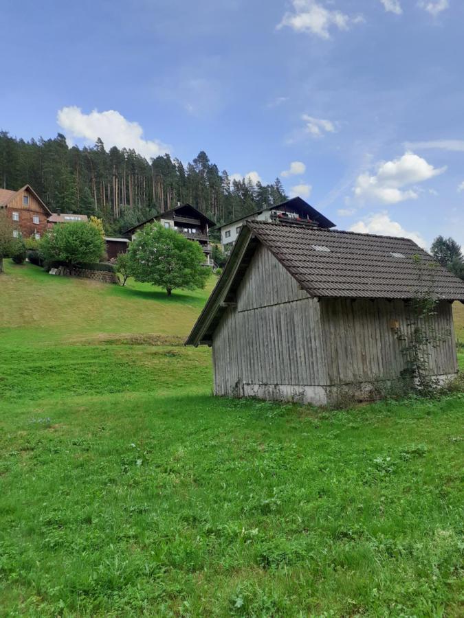 Ferienwohnung Tonbachtal Baiersbronn Exterior foto